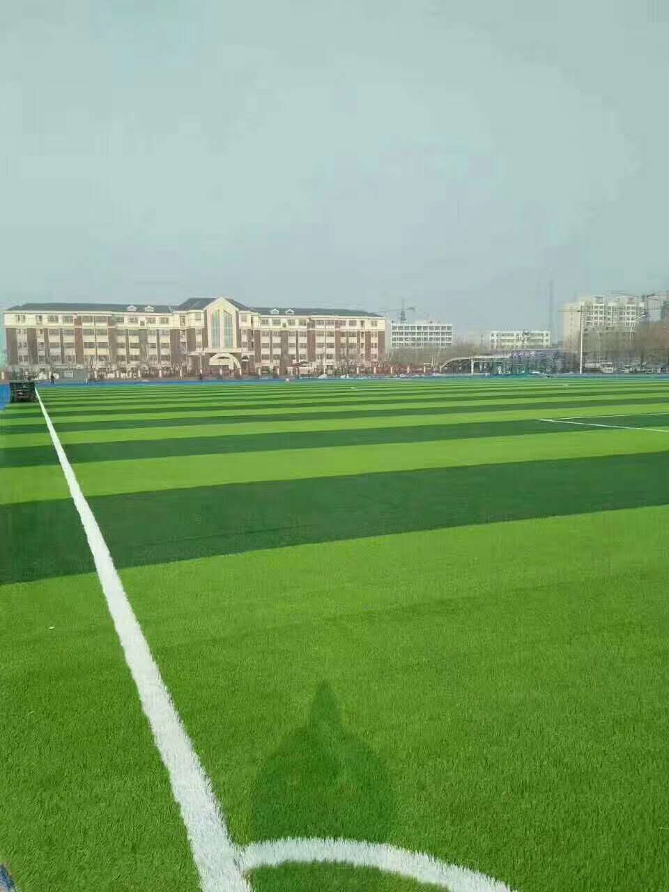 长治市彩色epdm颗粒仿真草坪 - 推荐